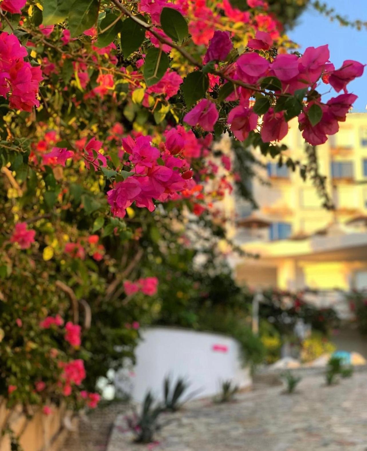Bellavista Apartments Bougainville Bay Sarande Luaran gambar